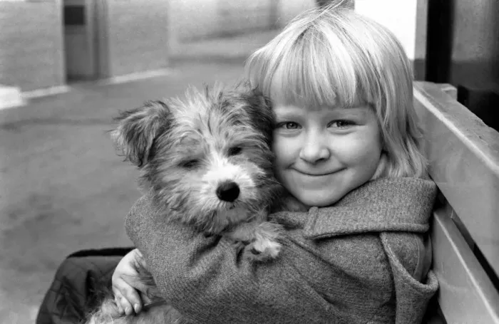 Framed Print : Cute children and Animals: Young girl holding her puppy dog. January 1980 80-00007
