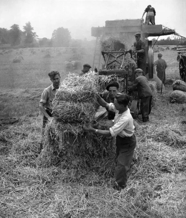 Framed Print : Our Daily Bread Their Daily Care. Once farm-work was spurned by the young boys who left Framed Print : Our Daily Bread Their Daily Care. Once farm-work was spurned by the young boys who left