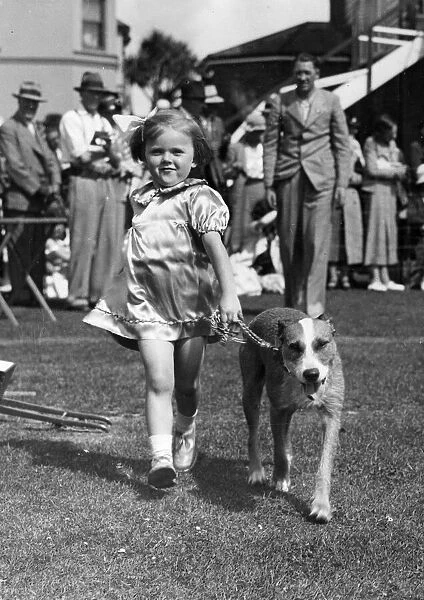 Daily Mirror V. C dog Mickey with young Mary Medlin at Paignton dog show