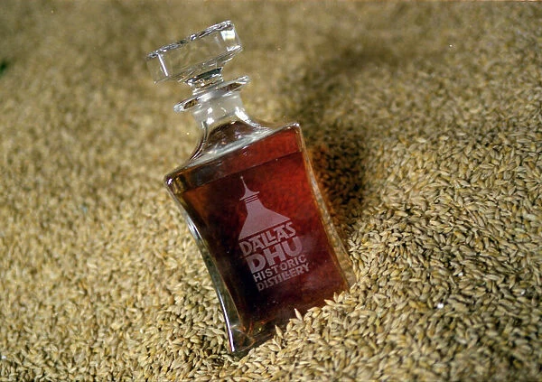 Dallas Dhu Historic Distillery, whisky bottle sitting in grain September 1999