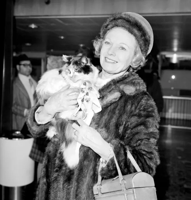 Framed Print : Dame Anna Neagle and her husband Herbert Wilcox arrived at Heathrow Airport today