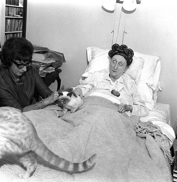 Dame Edith Sitwell talks to Marjorie Proops from her bed. They play with cats on the bed