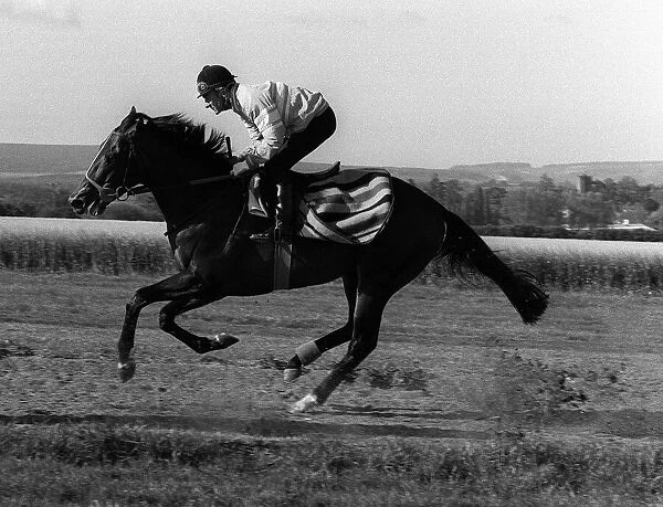Dancing Brave and jockey Greville Starkey in May 1986 on the gallops
