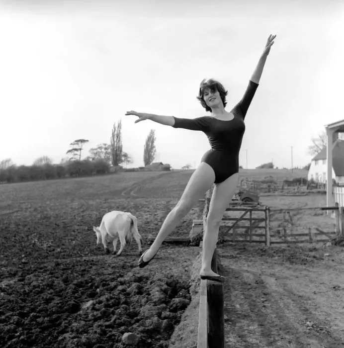 Framed Print : Dancing on the farm Ballerina Gillian Brodie seen here performing on fence posts Framed Print : Dancing on the farm Ballerina Gillian Brodie seen here performing on fence posts