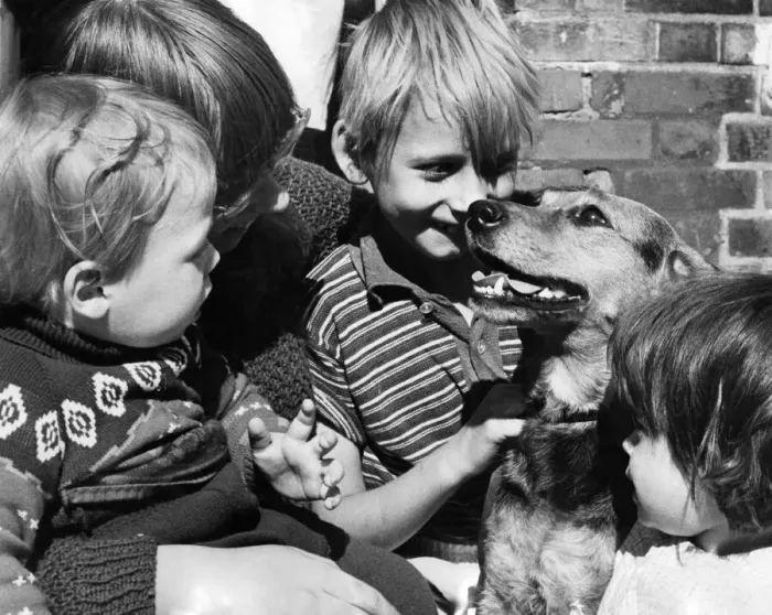 Framed Print : Darkie, a seven year old mongrel will be the lifelong friend of these children Framed Print : Darkie, a seven year old mongrel will be the lifelong friend of these children