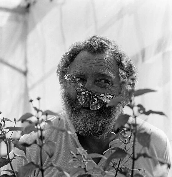 David Bellamy with an Atlas moth at Stratford-upon-Avon Butterfly house. 23rd July 1985