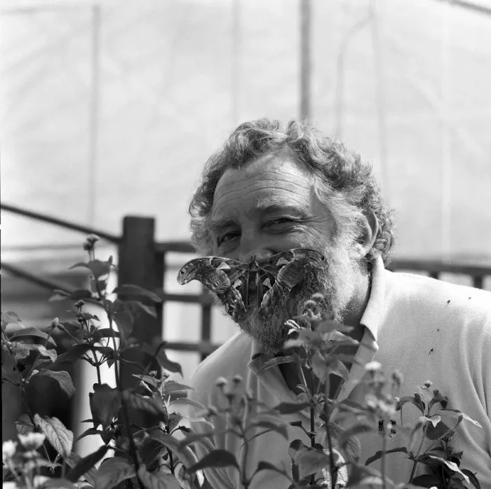 Framed Print : David Bellamy with an Atlas moth at Stratford-upon-Avon Butterfly house. 23rd July 1985