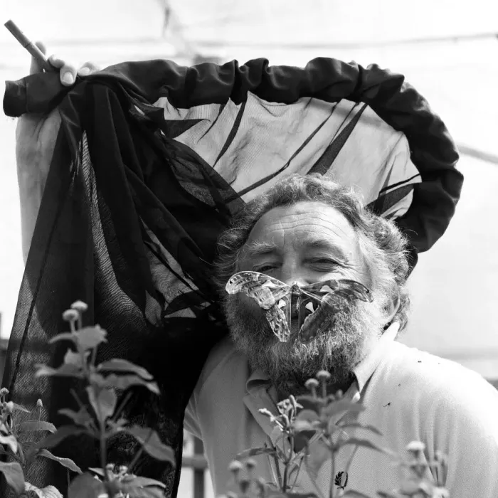 Framed Print : David Bellamy with an Atlas moth at Stratford-upon-Avon Butterfly house. 23rd July 1985 Framed Print : David Bellamy with an Atlas moth at Stratford-upon-Avon Butterfly house. 23rd July 1985