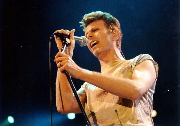 David Bowie, singer playing Cardiff - Copyright - Western Mail and Echo Ltd