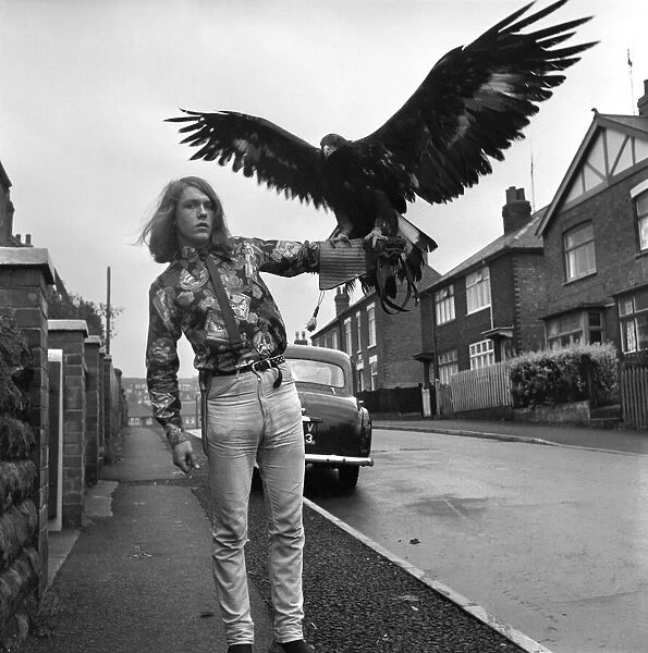 David Fox seen here taking his pet Golden Eagle for a walk around the local neighbourhood