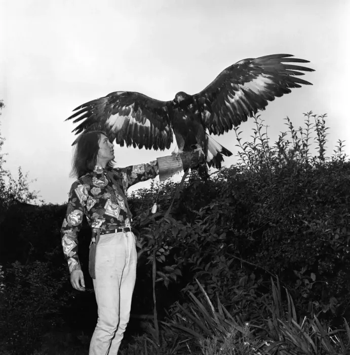 Framed Print : David Fox seen here taking his pet Golden Eagle for a walk around the local neighbourhood Framed Print : David Fox seen here taking his pet Golden Eagle for a walk around the local neighbourhood
