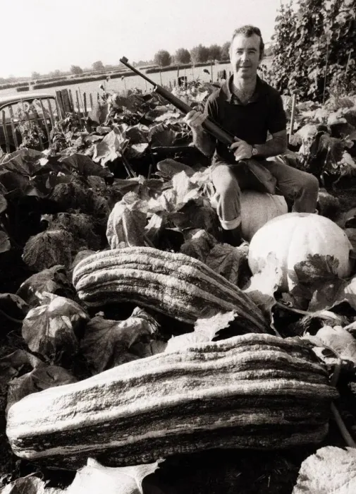 Framed Print : David Payne september 1981 davids giant marrow weighs in at 76 and half lbs