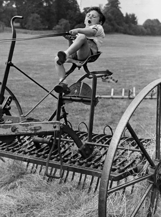 Framed Print : David Taylor, three year old farmer of Denham, tries out the harvesting machine July 1943 Framed Print : David Taylor, three year old farmer of Denham, tries out the harvesting machine July 1943