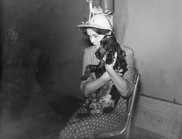 Dawn Addams seen here with her dog, Whistler at rehearsals for the Royal Film