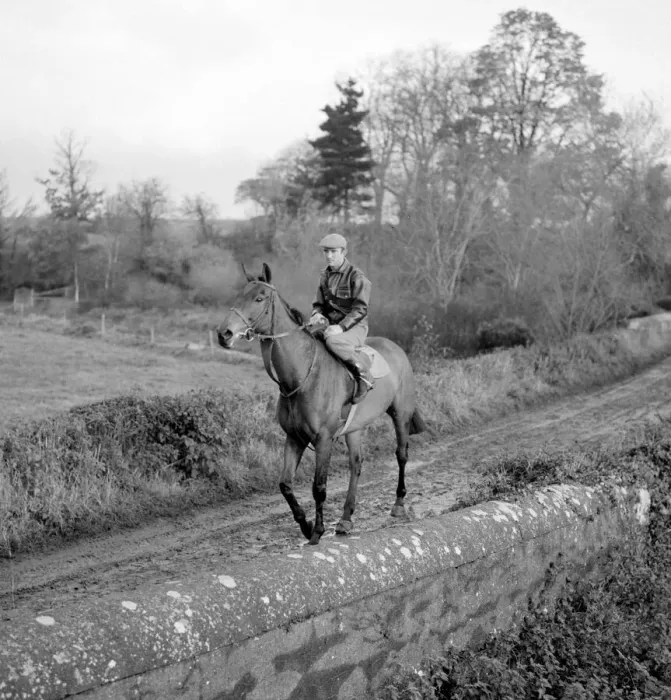 Framed Print : A day in the life of Arkle. 21st November 1965