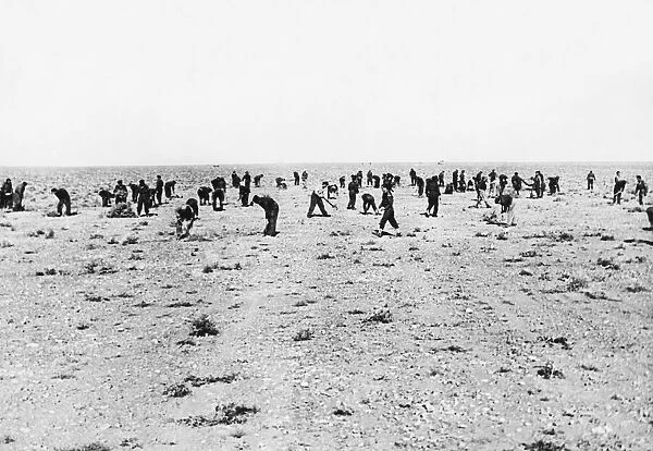 Two days work by British and Australian airmen turned the Tripolitanian desert into an
