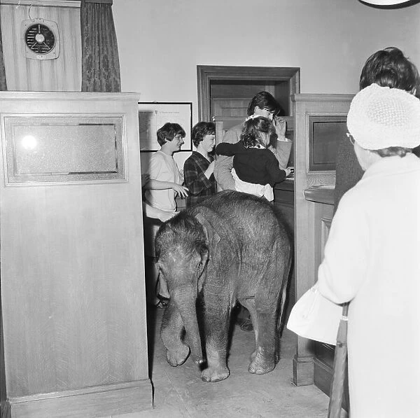 Debbie Gibb seen here with father Ian and Emily the baby elephat at Martins bank