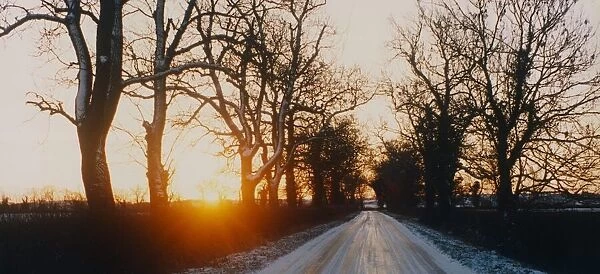 A delightful winter scene captured on camera near Napton, Warwickshire