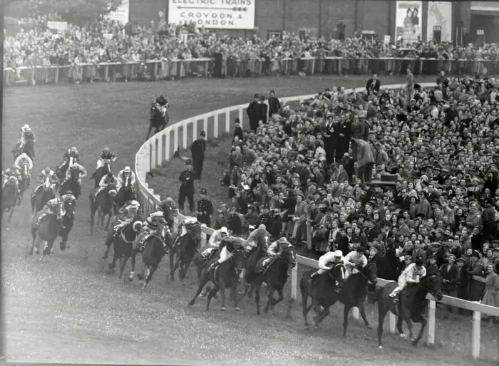Framed Print : The Derby 1950 Prince Simon in the lead rounding Tattenham Corner. 024266 / 3 Framed Print : The Derby 1950 Prince Simon in the lead rounding Tattenham Corner. 024266 / 3