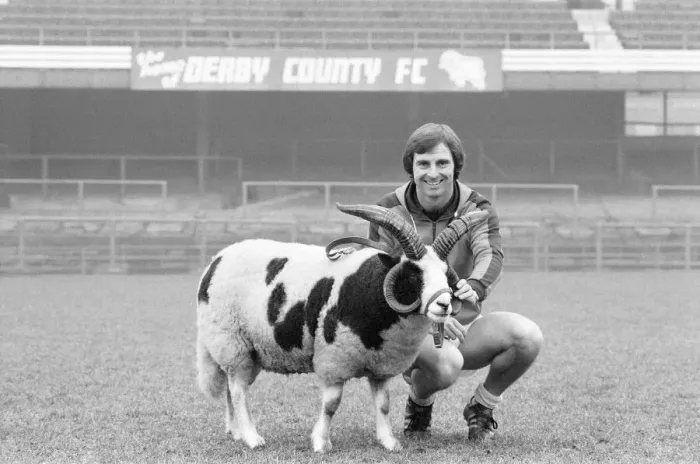 Framed Print : Derby County manager Colin Addison gets to grips with the clubs mascot Proudman