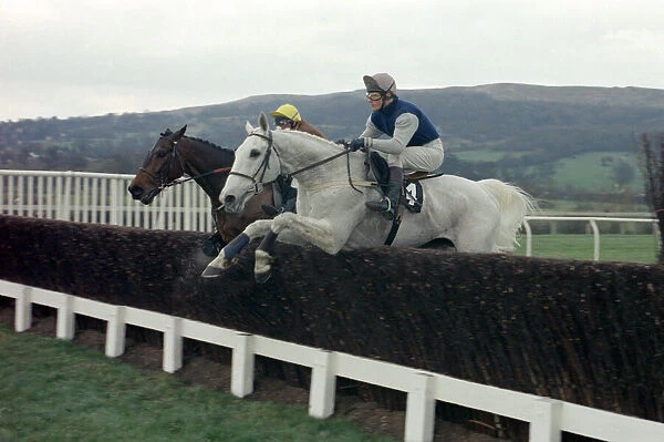 Desert Orchid clears a jump during the Cheltenham Gold Cup race 15th March 1990