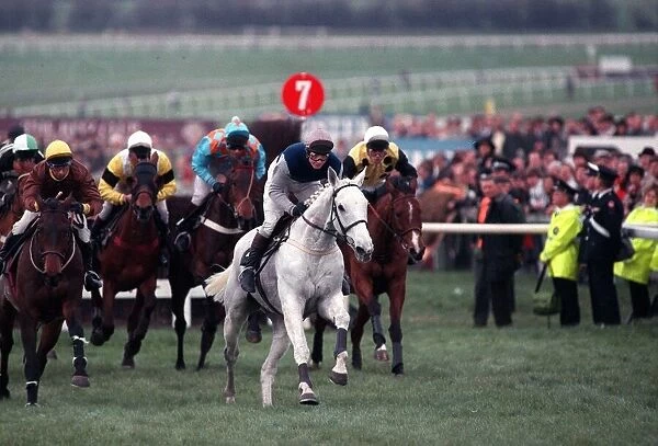 Desert Orchid leads the field in the 1990 Cheltenham Gold Cup race. 17th March 1990