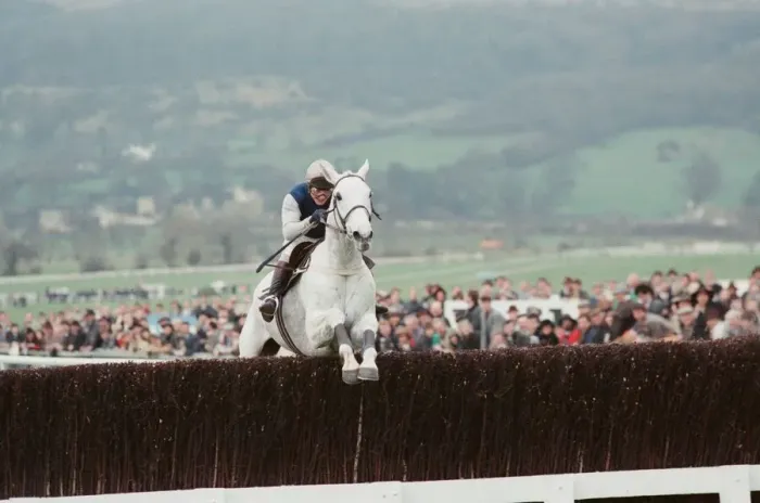 Framed Print : Desert Orchid leads the field in the 1990 Cheltenham Gold Cup 17th March 1990