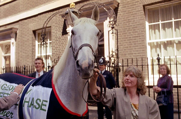 Desert Orchid Racehorse - June 1991 outside 10 Downing Street. 29  /  06  /  1991