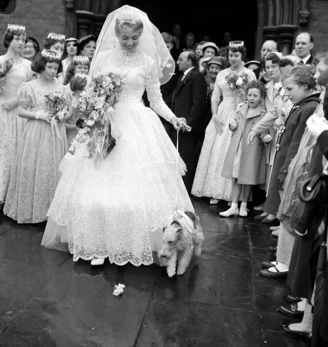 Framed Print : Diana Capel with her pet fox terrier Champ at her wedding at St Michaels Church in Framed Print : Diana Capel with her pet fox terrier Champ at her wedding at St Michaels Church in