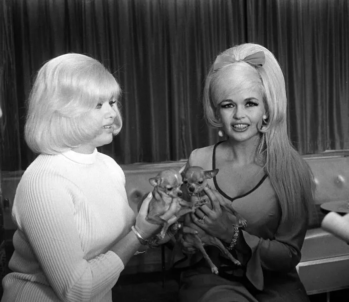 Framed Print : Diana Dors May 1967 actress with Jayne Mansfield In a Leeds Hotel