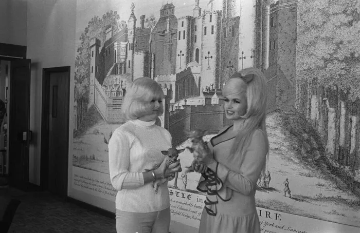 Framed Print : Diana Dors May 1967 actress with Jayne Mansfield In a Leeds Hotel Framed Print : Diana Dors May 1967 actress with Jayne Mansfield In a Leeds Hotel