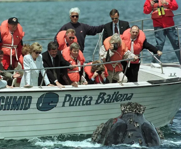 Framed Print : Diana, Princess of Wales on her four day visit to Argentina in her role as goodwill