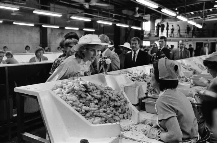 Framed Print : Diana, Princess of Wales visits Yandina Ginger Factory in Queensland. 12th April 1983 Framed Print : Diana, Princess of Wales visits Yandina Ginger Factory in Queensland. 12th April 1983