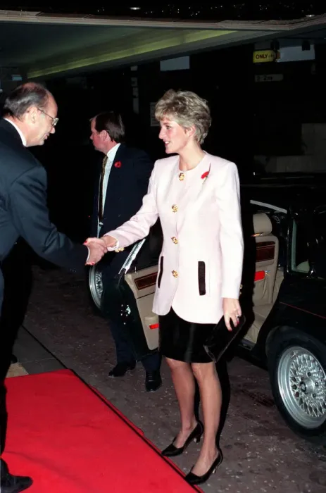 Framed Print : DIANA, THE PRINCESS OF WALES WEARING PINK 1991 Framed Print : DIANA, THE PRINCESS OF WALES WEARING PINK 1991