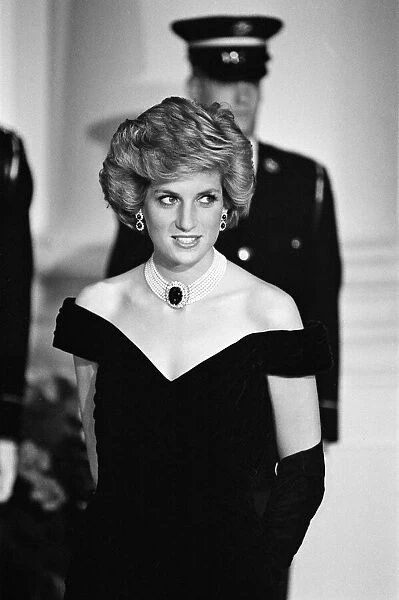 Diana, Princess of Wales at The White House Gala Dinner, Washington, DC