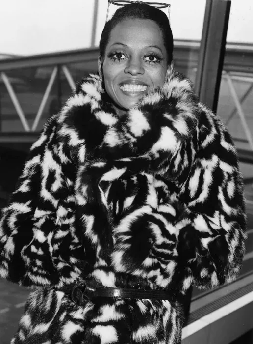Framed Print : Diana Ross 13th of April 1976 the pop singer is arriving at London Heathrow Airport Framed Print : Diana Ross 13th of April 1976 the pop singer is arriving at London Heathrow Airport