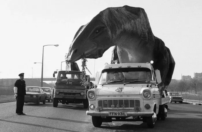 Framed Print : A dinosaur on the move in Essex. A 16 foot high and 45 foot long Cetiosaurus