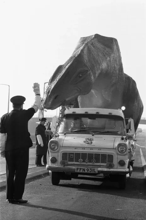 Framed Print : A dinosaur on the move in Essex. A 16 foot high and 45 foot long Cetiosaurus Framed Print : A dinosaur on the move in Essex. A 16 foot high and 45 foot long Cetiosaurus