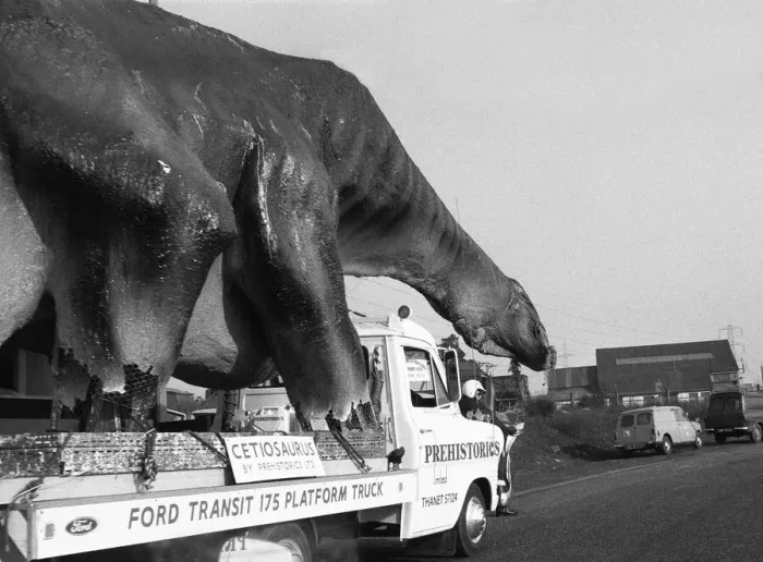 Framed Print : A dinosaur on the move in Essex. A 16 foot high and 45 foot long Cetiosaurus
