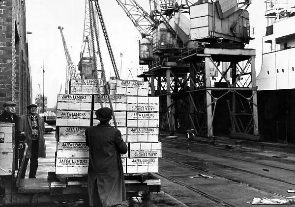Discharging boxes of lemons from Israel at A shed, Queens Dock, Cardiff