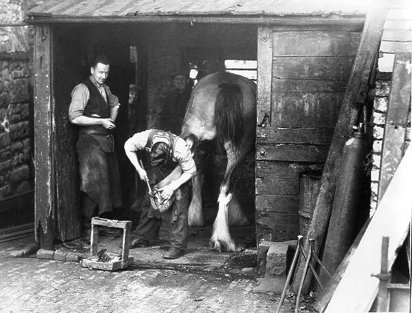 Dobbin waits patiently whil the blacksmith fixes his shoe at the smithy in Haltwhistle