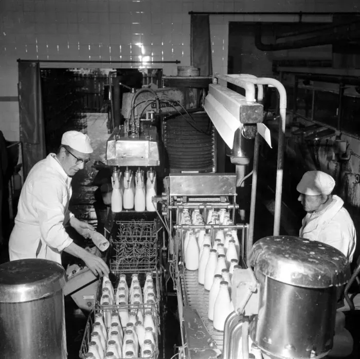 Framed Print : Dobsons Dairies October 1966 Workersr on Bottling and Packaging Machinery Framed Print : Dobsons Dairies October 1966 Workersr on Bottling and Packaging Machinery