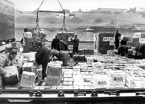 Dockers begin to unload a cargo of oranges at the Newcastle Quayside in 1978