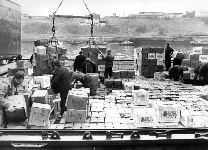 Framed Print : Dockers begin to unload a cargo of oranges at the Newcastle Quayside in 1978