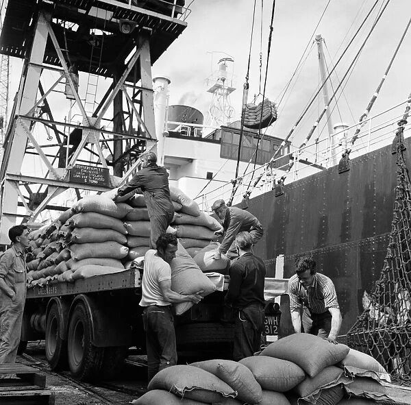 Dockers loading a ship at Gladstone Dock, Liverpool. 9th August 1965