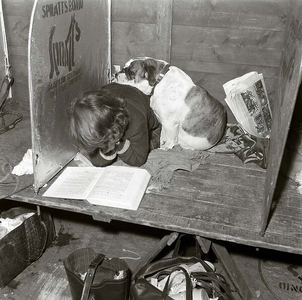 Dog feeling sad A Bulldog leans on a reading child