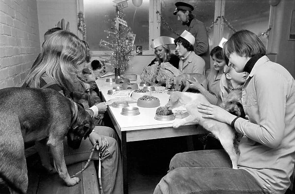 Dog Owners and their pets seen here having a Christmas party. December 1976 76-07481-012