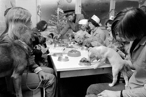 Dog Owners and their pets seen here having a Christmas party. December 1976 76-07481-013