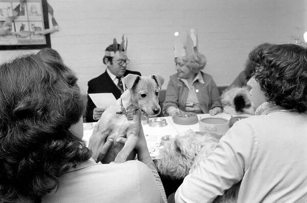 Dog Owners and their pets seen here having a Christmas party. December 1976 76-07481