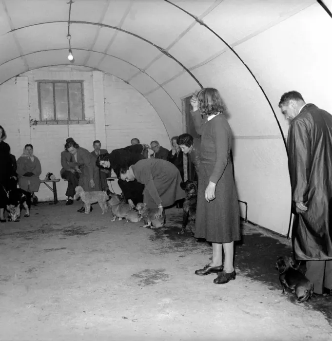 Framed Print : Dog trainer: Barbara: Woodhouse. April 1958 A677-004 Framed Print : Dog trainer: Barbara: Woodhouse. April 1958 A677-004